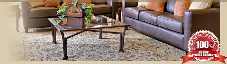 St Louis Area Rug Cleaner Rug Cleaning Pet Stain Removal Pet